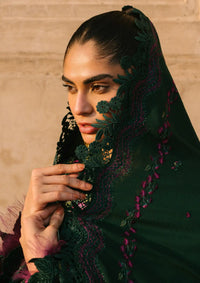 Bin Ilyas Gulabi Baagh Winter'24 D-152 B