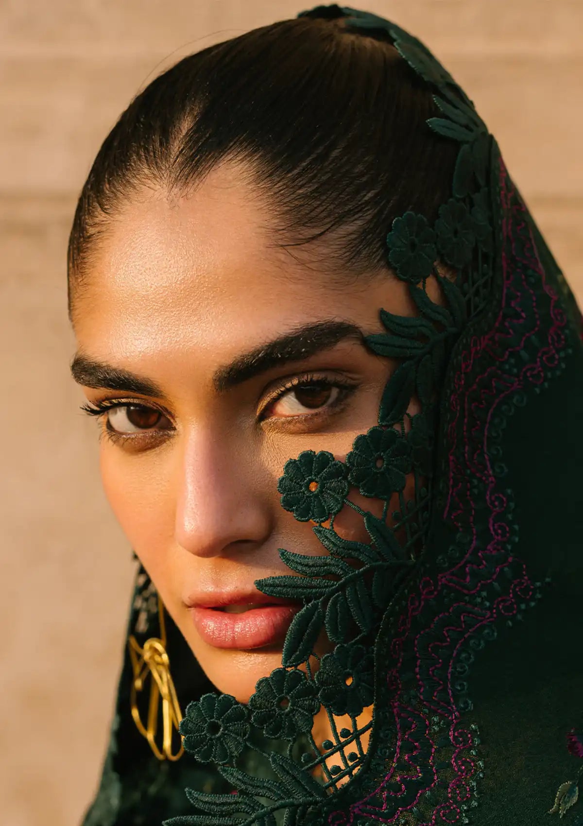 Bin Ilyas Gulabi Baagh Winter'24 D-152 B