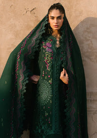 Bin Ilyas Gulabi Baagh Winter'24 D-152 B