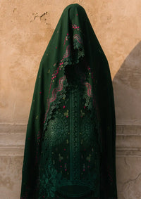 Bin Ilyas Gulabi Baagh Winter'24 D-152 B