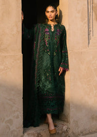 Bin Ilyas Gulabi Baagh Winter'24 D-152 B