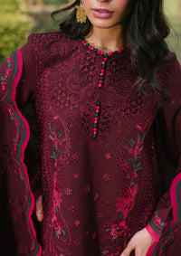 Bin Ilyas Gulabi Baagh Winter'24 D-154 B