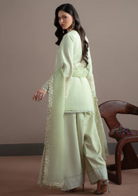mohsin-saeed-fabrics-designer-daily-wear-formal-and-wedding-suits-within-budget-This-product-is-from-fabiha-fatima-elvin-formal-pret25-d-08-sage-is-available-on-Mohsin-saeed-fabrics-website.