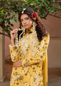 Zaiba By Humdum'25 D-03