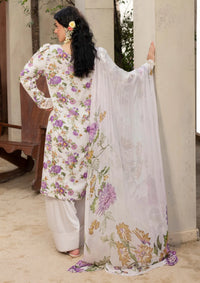 Zaiba By Humdum'25 D-10