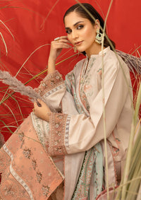 Bin Ilyas Fasana Winter'23 1934 - B - Mohsin Saeed Fabrics