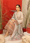 Bin Ilyas Fasana Winter'23 1934 - B - Mohsin Saeed Fabrics