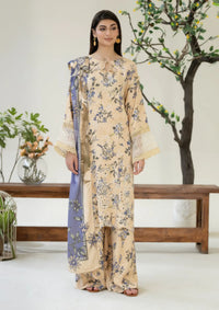 Johra Ardin Winter'25 JW-256