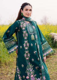 Parishay Dil e Raqsum'26 DQ-11