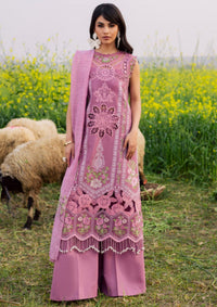 Parishay Dil e Raqsum'26 DQ-02