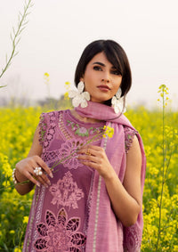 Parishay Dil e Raqsum'26 DQ-02