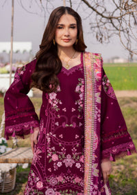 Parishay Dil e Raqsum'26 DQ-07