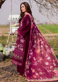 Parishay Dil e Raqsum'26 DQ-07