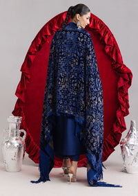 Parishay Panache Velvet'26 CHE-16
