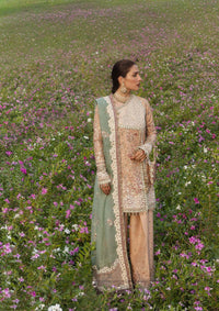Hussain Rehar Festive Edit II'26 -Gohar Ara