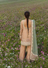 Hussain Rehar Festive Edit II'26 -Gohar Ara
