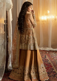 Afrozeh Hayat Wedding Formals'24 AFH-06 Nooray