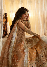 Afrozeh Hayat Wedding Formals'24 AFH-06 Nooray