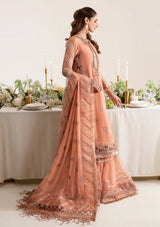 Alizeh Reena Wedding Edits'25 AF-HM-40020-MARGRET