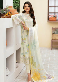 Rangrez By Ramsha'24 Vol-05 N-501 - Mohsin Saeed Fabrics