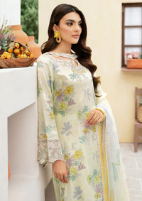 Rangrez By Ramsha'24 Vol-05 N-501 - Mohsin Saeed Fabrics