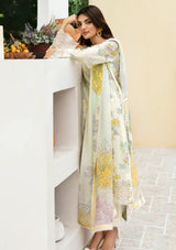 Rangrez By Ramsha'24 Vol-05 N-501 - Mohsin Saeed Fabrics