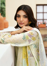 Rangrez By Ramsha'24 Vol-05 N-501 - Mohsin Saeed Fabrics