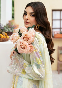 Rangrez By Ramsha'24 Vol-05 N-501 - Mohsin Saeed Fabrics