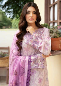 Rangrez By Ramsha'24 Vol-05 N-504 - Mohsin Saeed Fabrics