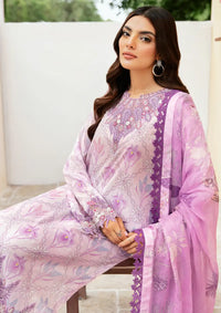 Rangrez By Ramsha'24 Vol-05 N-504 - Mohsin Saeed Fabrics