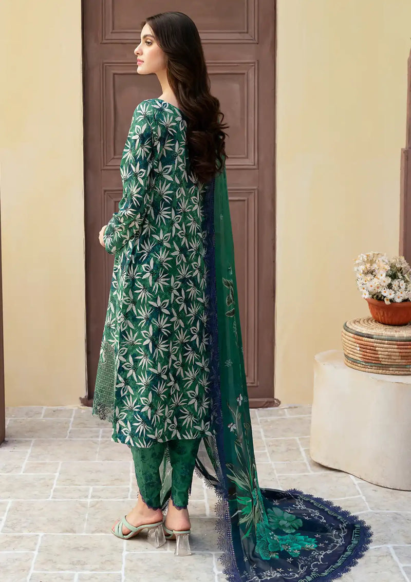 Rangrez By Ramsha'24 Vol-05 N-507 - Mohsin Saeed Fabrics