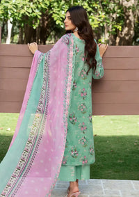 Rangrez By Ramsha'24 Vol-05 N-510 - Mohsin Saeed Fabrics