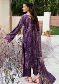 Rangrez By Ramsha'24 Vol-05 N-506 - Mohsin Saeed Fabrics