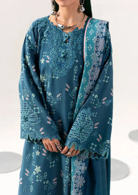 Qalamkar Qprints Linen'26 QPW-06 B Rohi