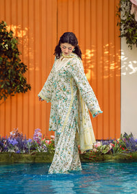 mohsin-saeed-fabrics-designer-daily-wear-formal-and-wedding-suits-within-budget-This-product-is-from-elaf-prints-lawn25-vol-2-eps-3a-ivory-whispers-is-available-on-Mohsin-saeed-fabrics-website.