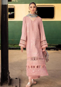 Safarnama By Nureh'23 NS-91 - Mohsin Saeed Fabrics