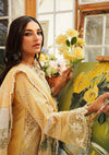 Kahf Luxury Lawn'24 KLE-02 Sun Kissed - Mohsin Saeed Fabrics