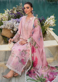 Saira Shakira Bloom Lawn'26 D-8A IRIS