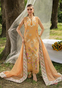 Saira Shakira Bloom Lawn'26 D-2A  LILY