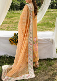 Saira Shakira Bloom Lawn'26 D-2A  LILY