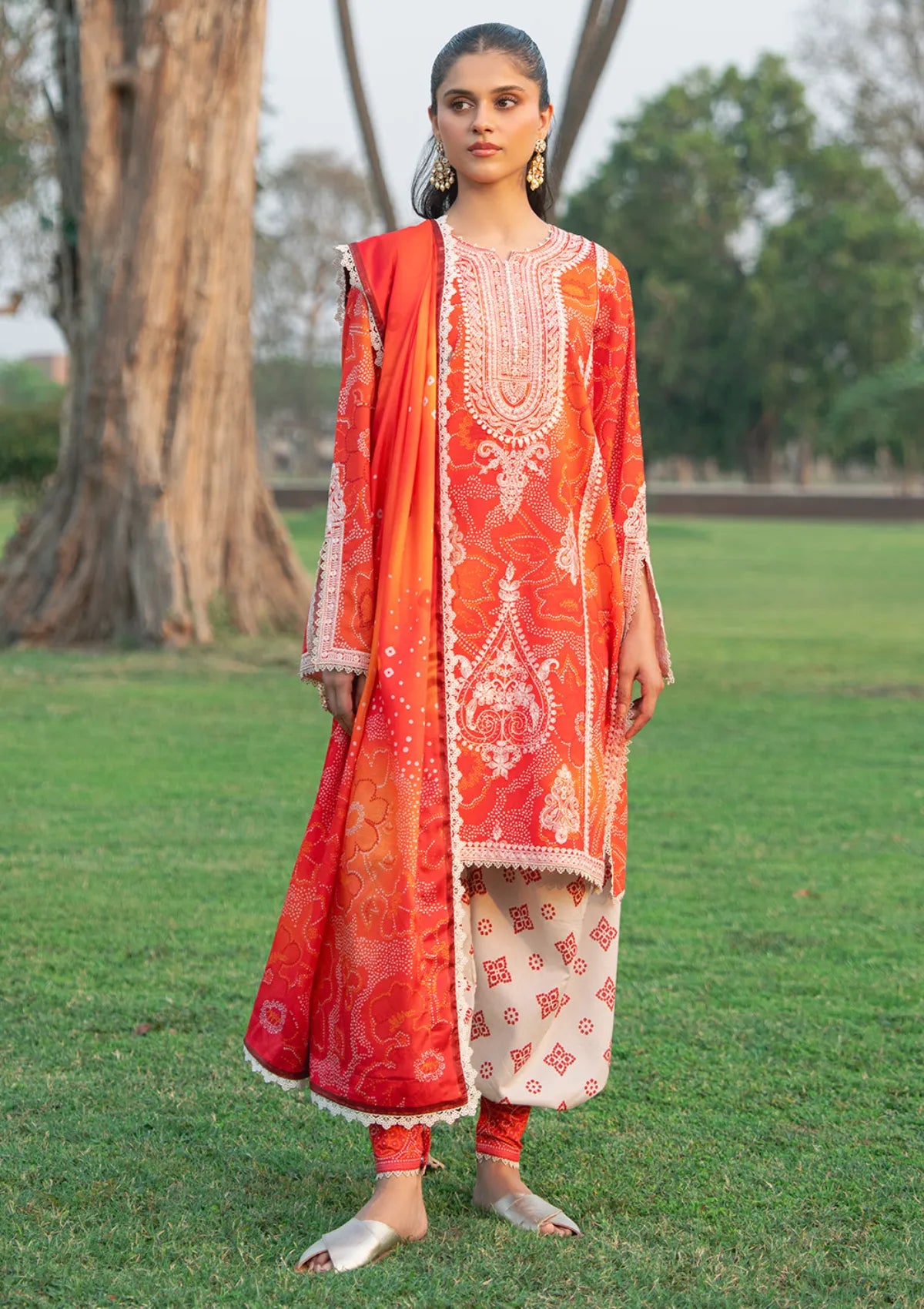 Bin Ilyas Naqsh Naaz Luxury Lawn'25 D-2084 A