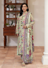 Johra Azreen Winter'25  JW-536