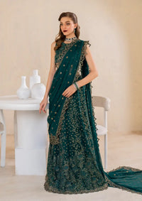 Iznik Chinon Chiffon'24 CC-47