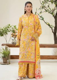 Johra Ardin Winter'25 JW-260