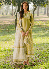 Bin Ilyas Signature'26 D-231 A