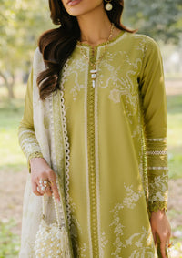 Bin Ilyas Signature'26 D-231 A