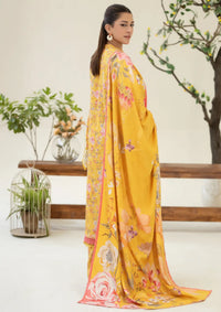 Johra Ardin Winter'25 JW-260