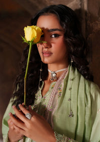 Bin Ilyas Suroor Eid Lawn'26 243-A