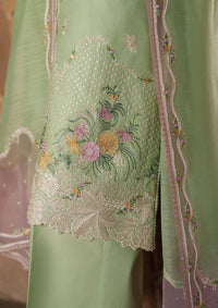 Bin Ilyas Suroor Eid Lawn'26 243-A
