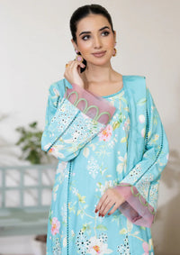 Johra Fizba Winter'25 JW-298